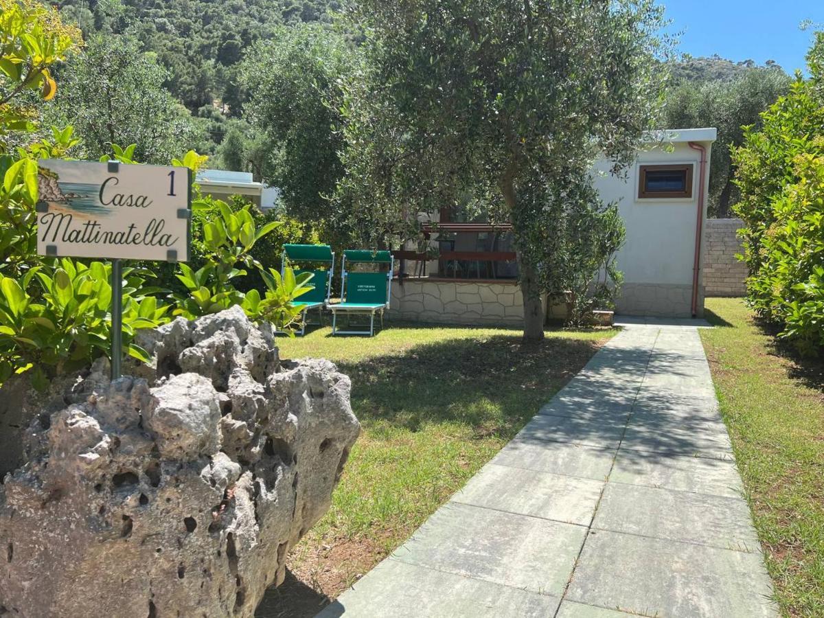 Agriturismo Antichi Ulivi Mattinata Exterior foto