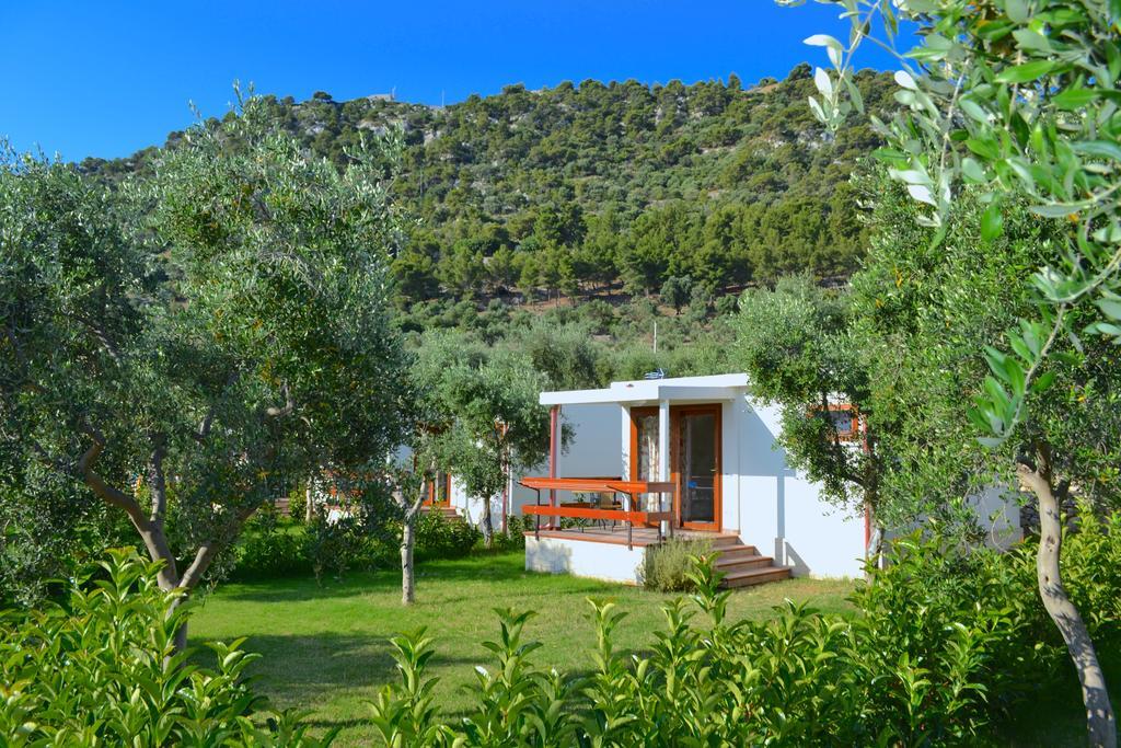 Agriturismo Antichi Ulivi Mattinata Exterior foto