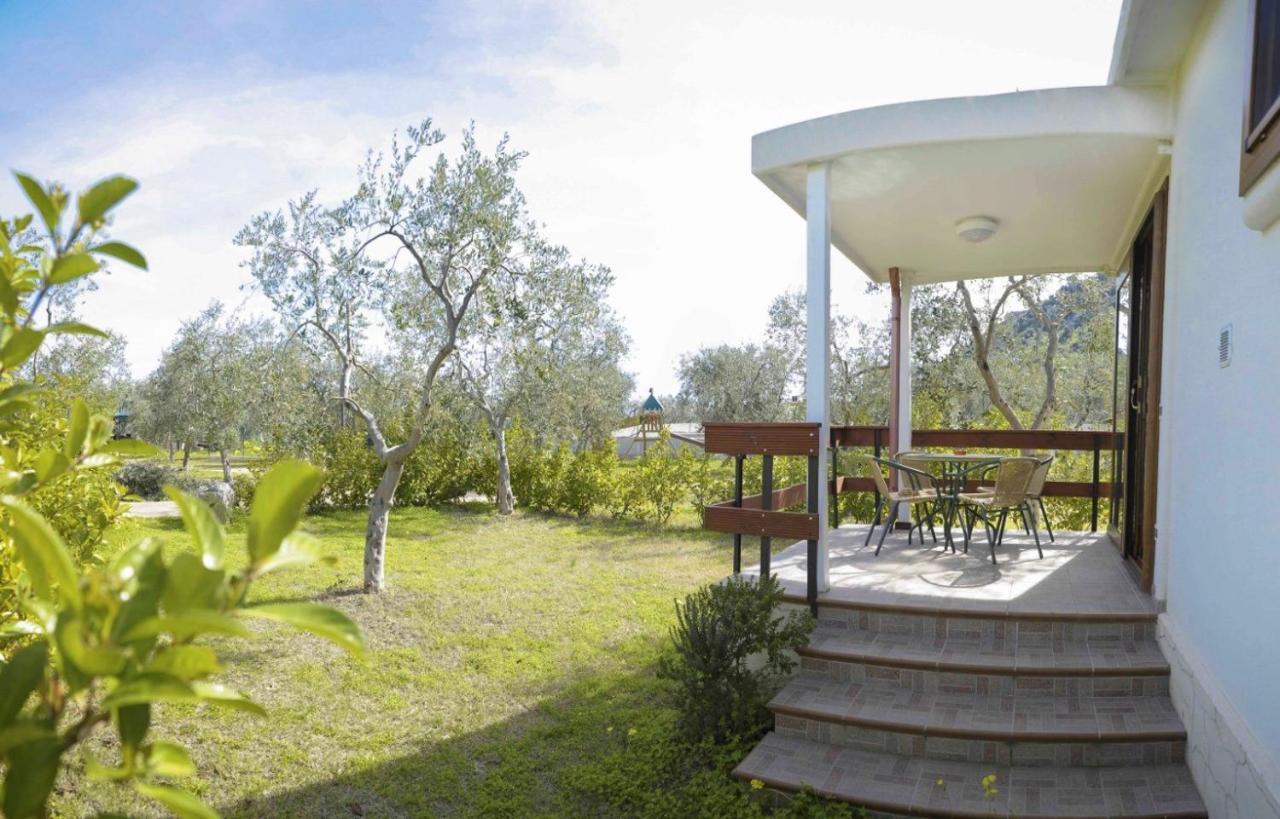 Agriturismo Antichi Ulivi Mattinata Exterior foto